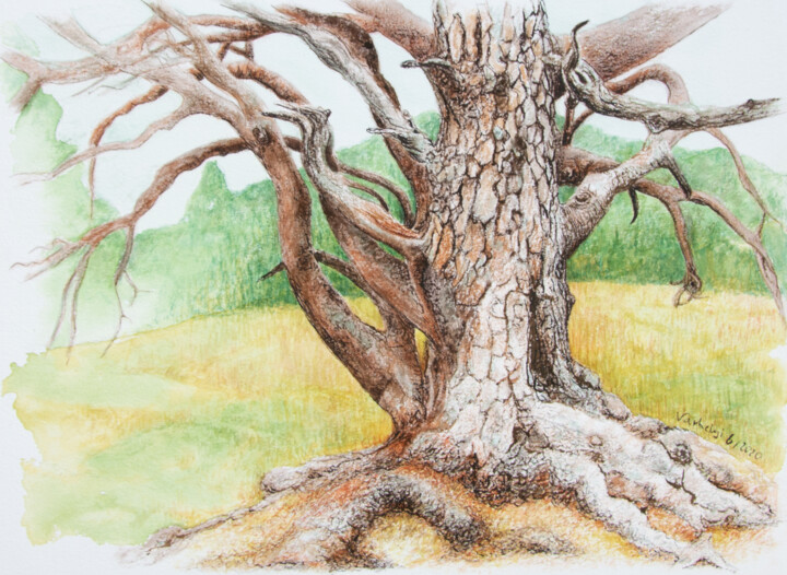 Disegno,  9,1x12,2 in 