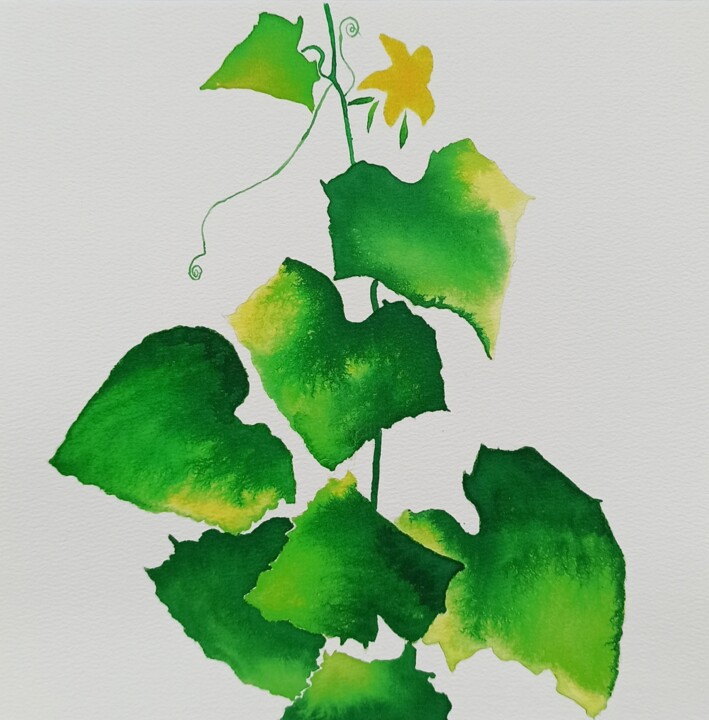 Сolor shadow cucumber 绘画, 10.2x10.2 in