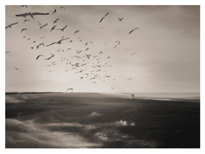 Photography titled "Pájaros" by Oriol Jolonch, Original Artwork, Digital Photography
