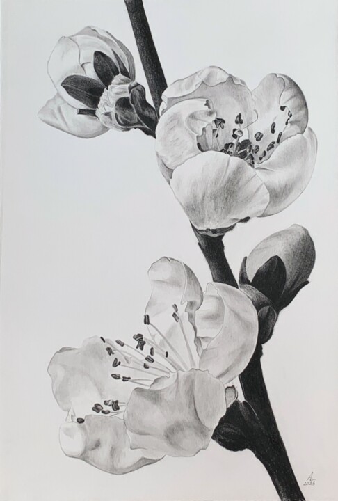 Plum blossom branch 绘画, 11x7.5 in