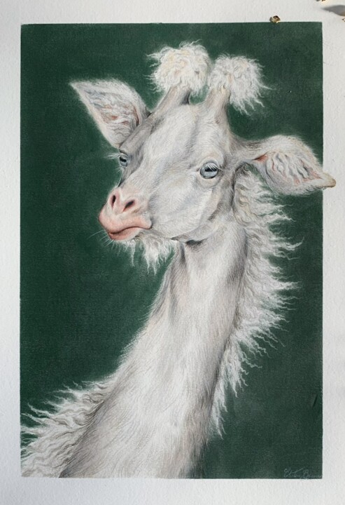 Girafe laineuse d'Europe 图画, 11.4x8.3 in