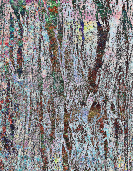 数字艺术,  46.1x35.8 in 