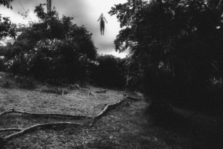 The mystery of the forest 摄影, 7.9x11.8 in