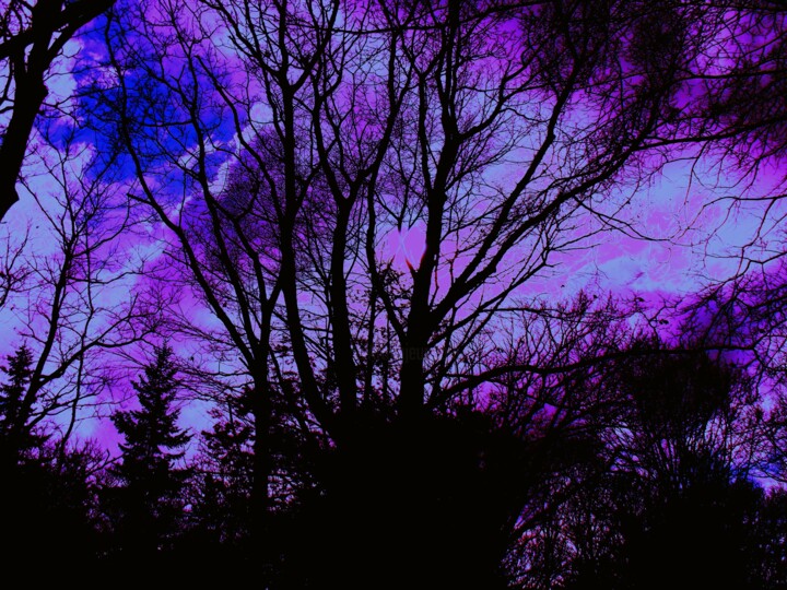 Darkness Surrounds 数字艺术