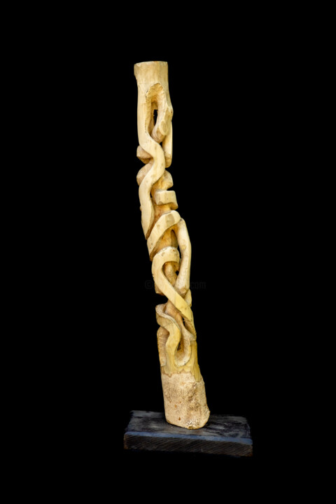 Sculpture intitulée "Lierre" par Guillaume Boisson, Œuvre d'art originale, Bois