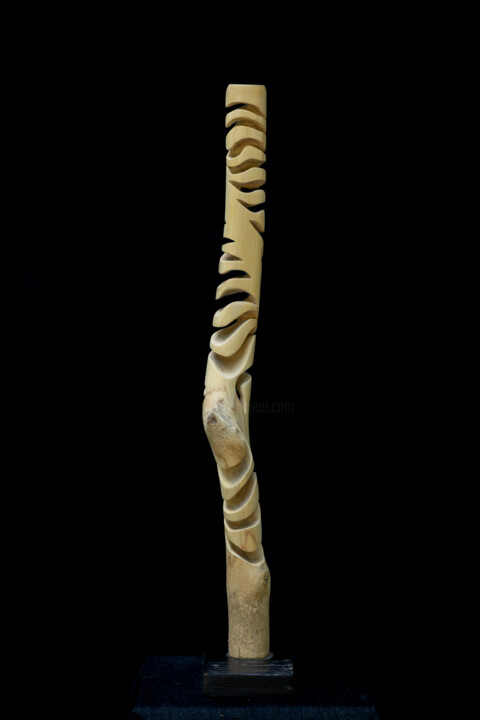 Sculpture intitulée "Spyrale du buis" par Guillaume Boisson, Œuvre d'art originale, Bois