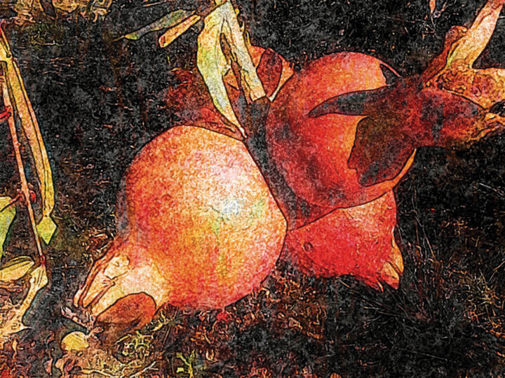 Granadas/XL large original artwork Digital Arts, 59x78.5 in