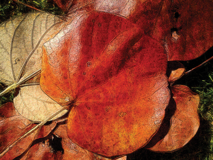 Otoño/XL large original artwork Digital Arts, 59x78.5 in