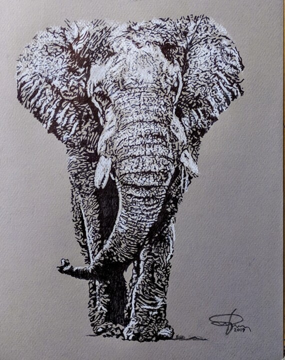 Elefante 图画, 12.8x9.8 in