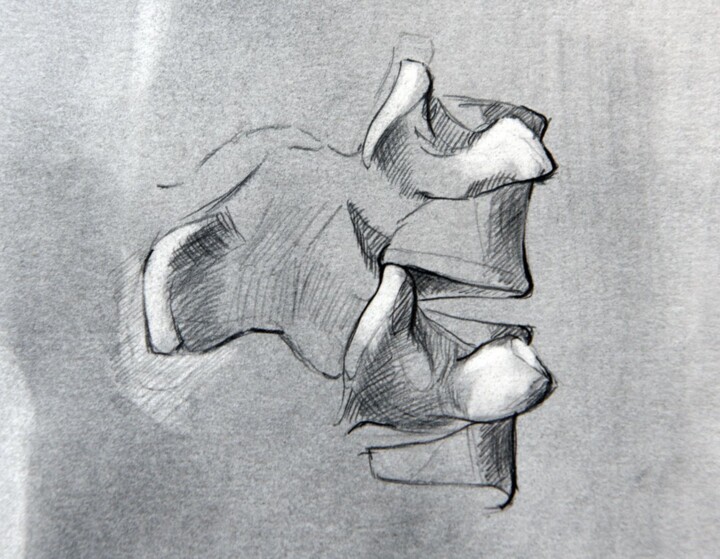 Rückenwirbel I 图画, 7.9x11.8 in