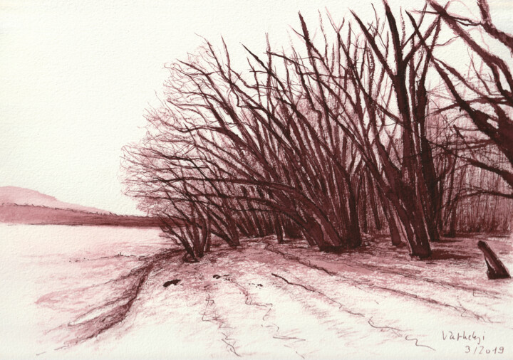 Baumstudie 12 Irgendwo in Ungarn Drawing, 8.3x11.8 in