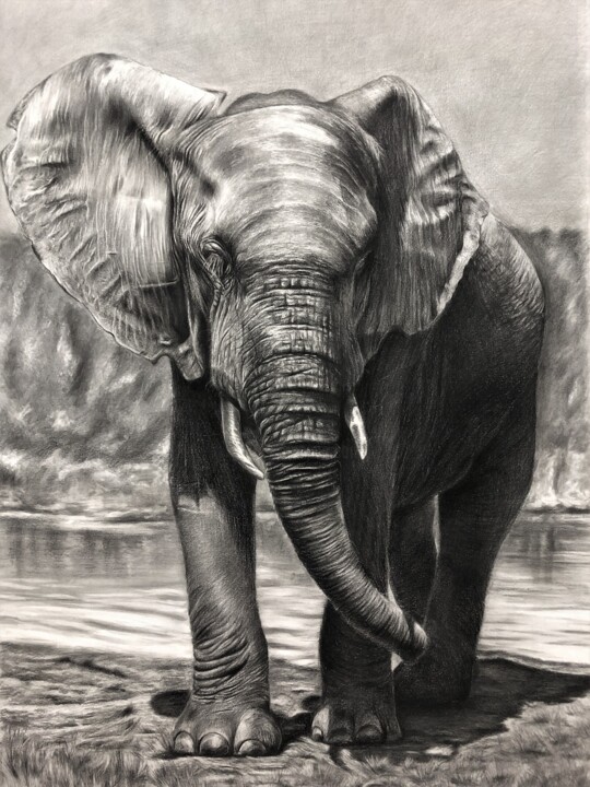 Masai Mara 图画, 42.7x28.5 in