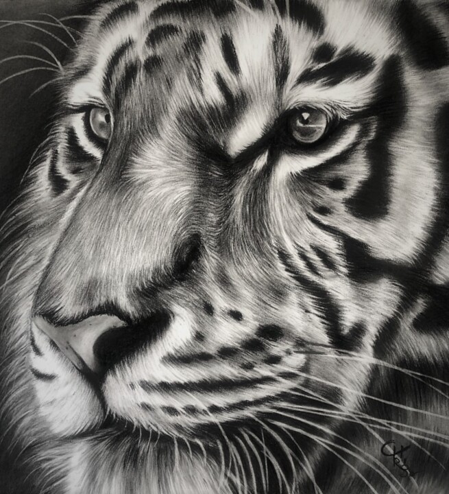 Drawing titled "Damon" by Christelle Rossi Ligouzat (Chris Rossi), Original Artwork, Charcoal