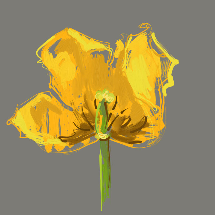Yellow tulip #1 数字艺术