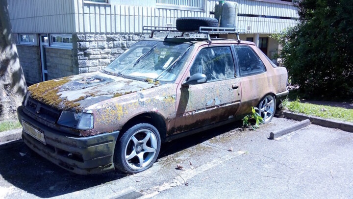 Voiture Végétale 摄影