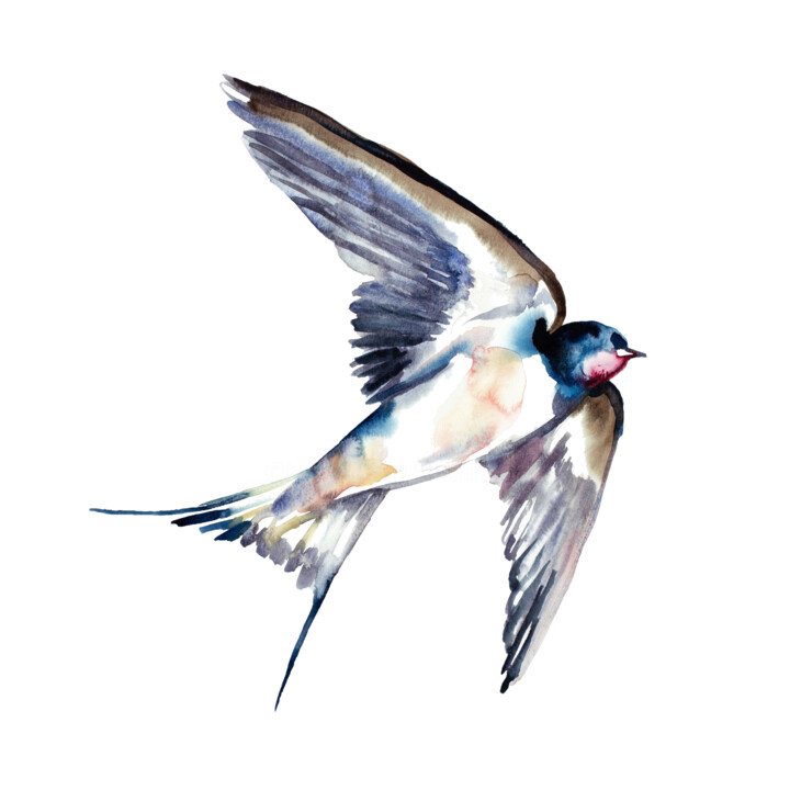 Swallow No. 39 绘画, 18x18 in