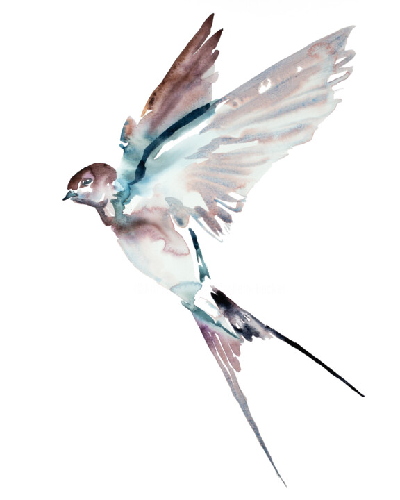 Swallow No. 40 绘画, 20x16 in