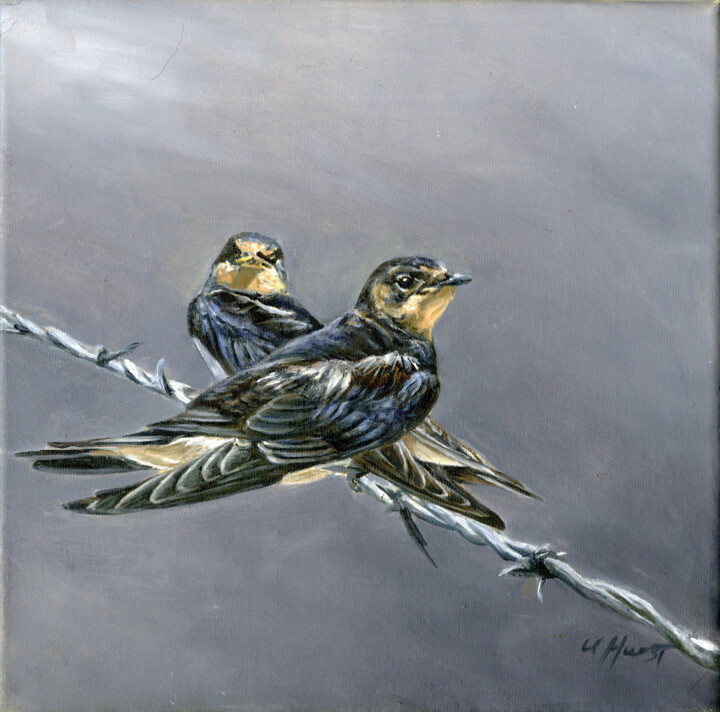Swallows Hirundo rustica on barbed wire 绘画, 10x10 in