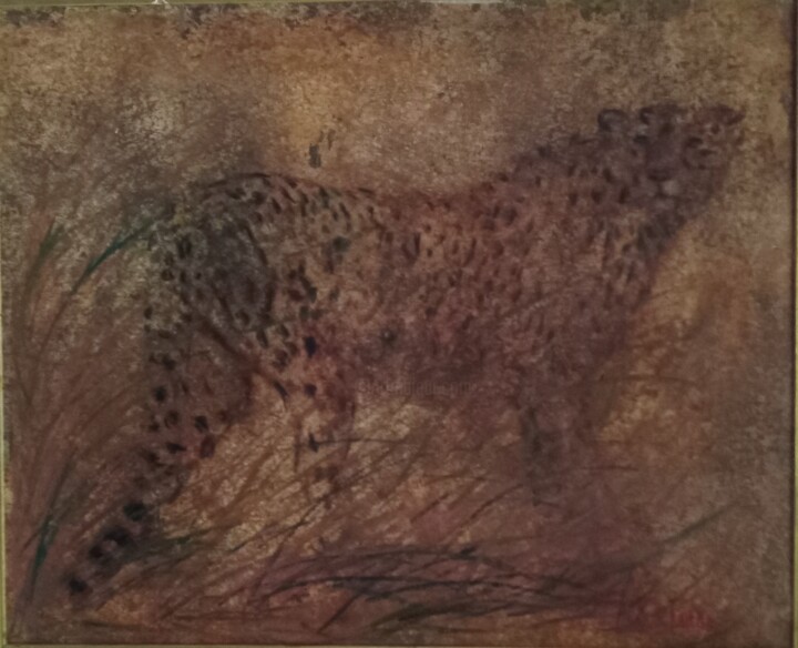 Guépard 绘画, 19.7x24 in