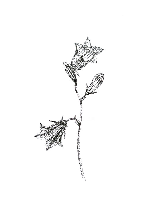 Bells 图画, 7.1x5.1 in