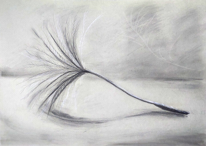 Tekening,  11,7x16,5 in 