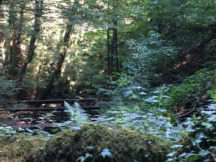 Le pont du Nanceau 사진