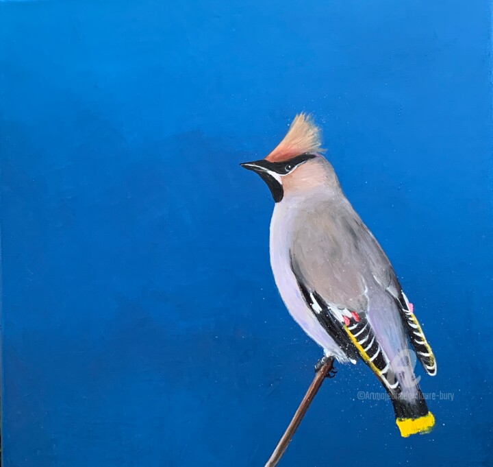 Bohemian waxwing 绘画, 15.8x15.8 in