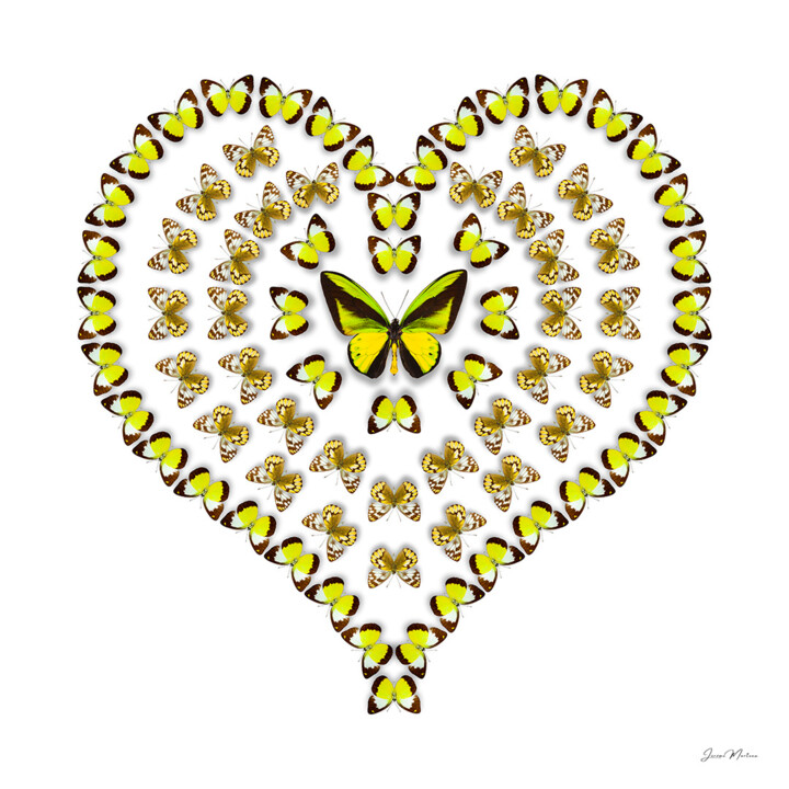 Je t'aime 摄影, 19.7x19.7 in