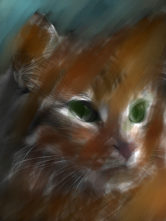 Кошачий взгляд 数字艺术