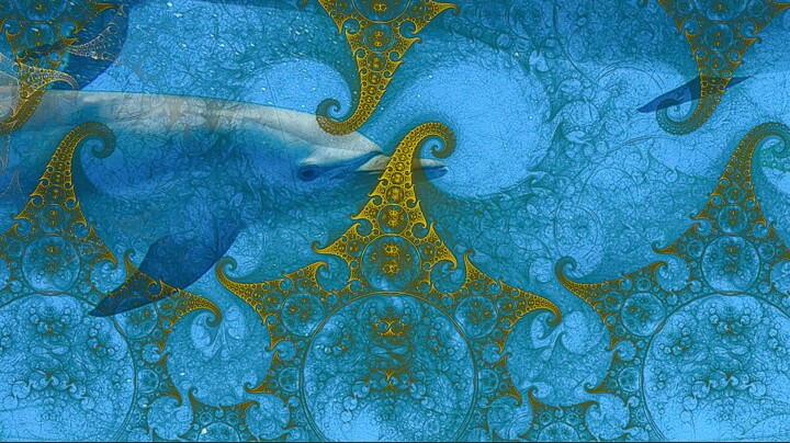 Photographie intitulée "Jeune dauphin" par Véronique Jaques, Œuvre d'art originale, Photographie numérique