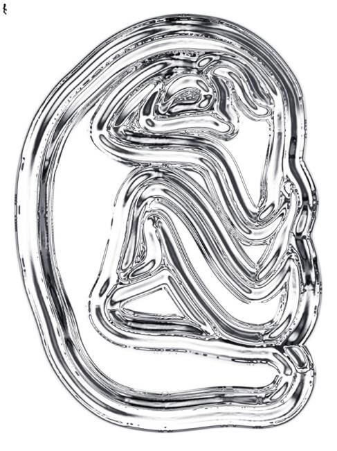 Inseparables (digital variation) 数字艺术, 23x18 in