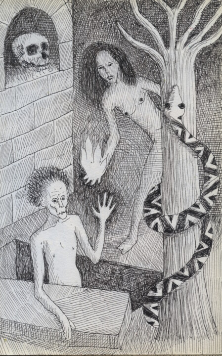 Lázaro II 图画, 8.5x5.5 in