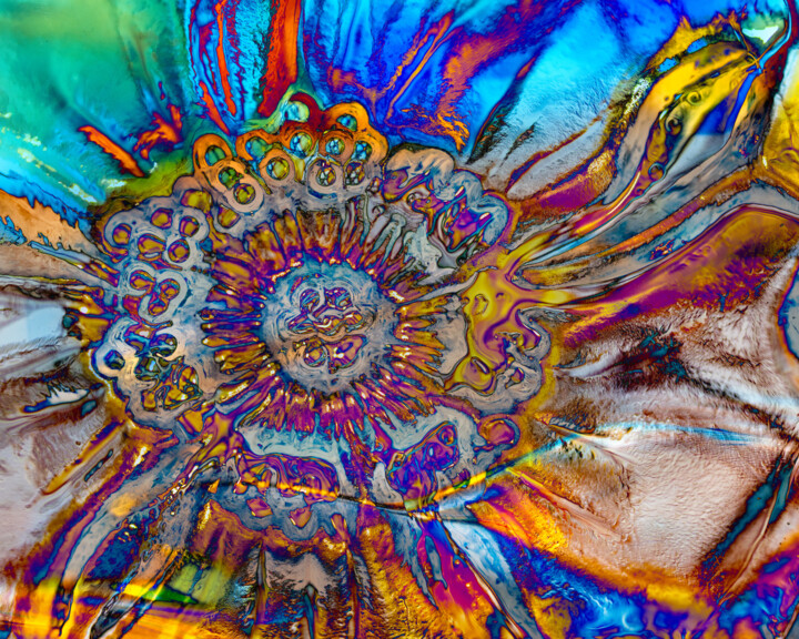Variegated Glass Flower 摄影
