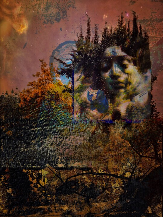 摄影,  35.4x26.6 in 