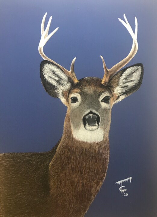 Dibujo titulada "Cerf de Virginie -…" por Pastels Et Velours, Obra de arte original, Pastel