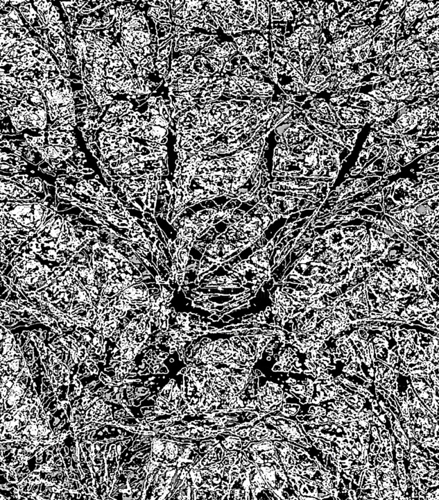 Photography,  30x26.3 in 