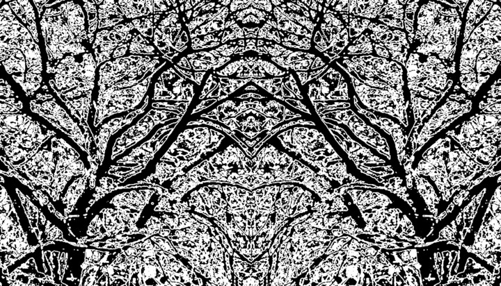 Photography titled "Snow on a Tree 1d9c" by Ken Lerner, Original Artwork, Digital Photography