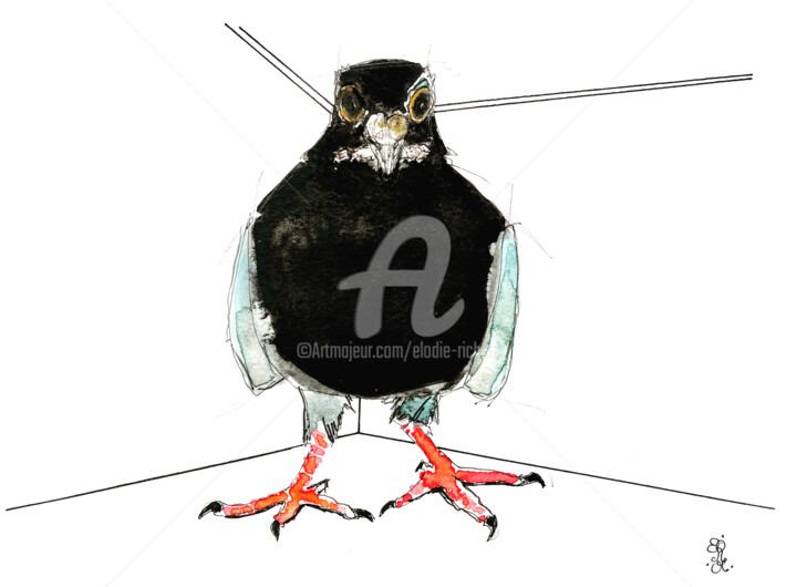 Pidge the Bald Neck Rescued Pigeon 2 (original)(Uk) 绘画, 7x10 in