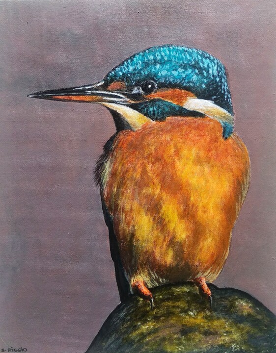 Martin pêcheur 绘画, 11.8x9.8 in