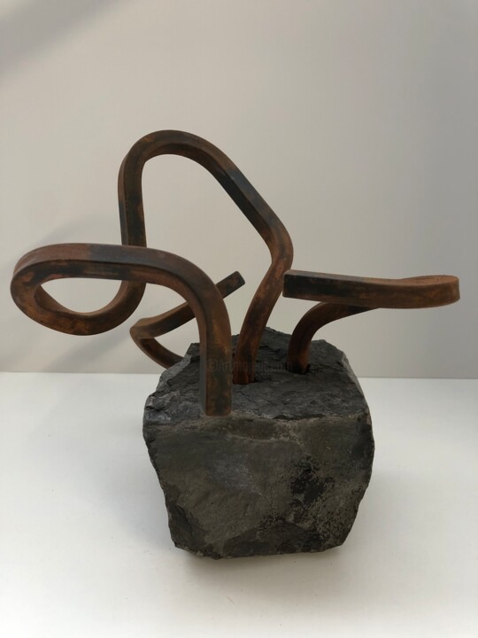 Sculptuur getiteld "Sustraiak 6" door Josu Goenaga, Origineel Kunstwerk, Metalen