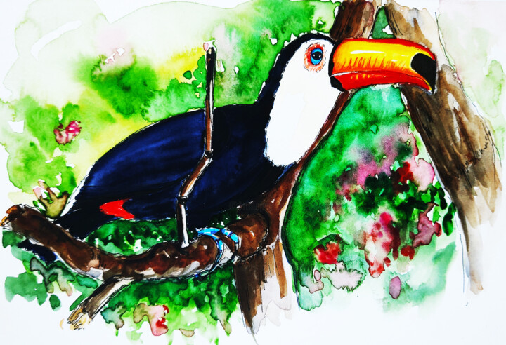 Toucan 绘画, 5.8x8.3 in