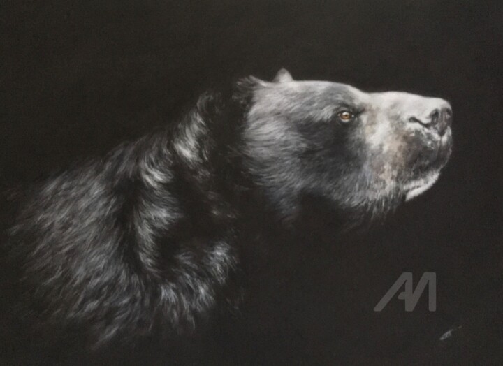 Bad Bear 图画, 11.8x15.8 in