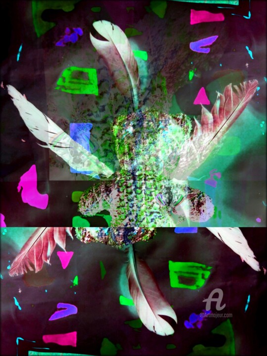 The Nounous 摄影