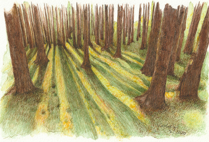 Baumstudie #25 Schattenwald Drawing, 7.1x10.2 in