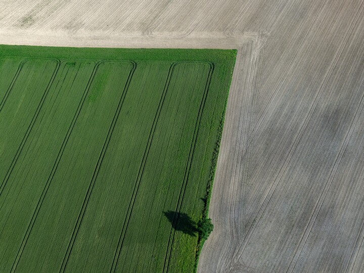 摄影 标题为“Polder 14 - Agricul…” 由Pierre Piton, 原创艺术品, 数码摄影