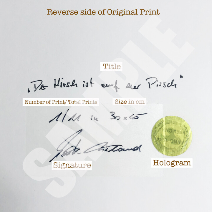 Επιπλέον θέα 6