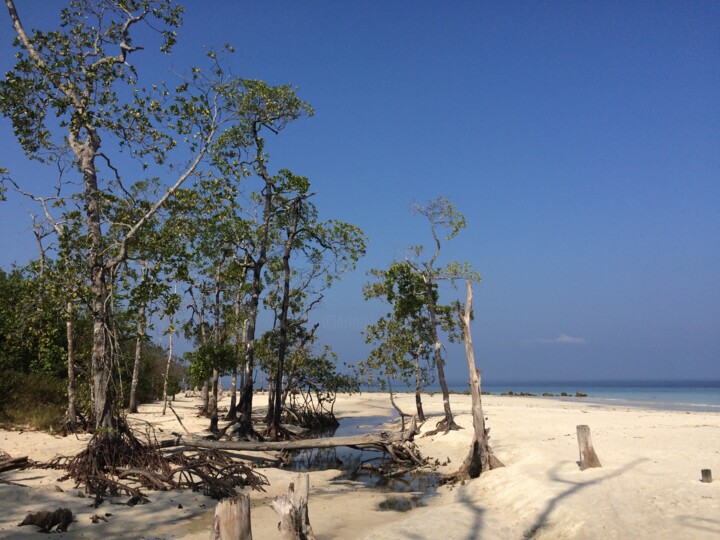 Fotografie getiteld "Затерянный мир 3" door Uliana Khalanskaia, Origineel Kunstwerk, Digitale fotografie