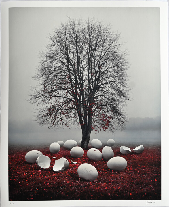 Photography titled "Hibernation 2/3" by Bettina Dupont, Original Artwork, Digital Photography