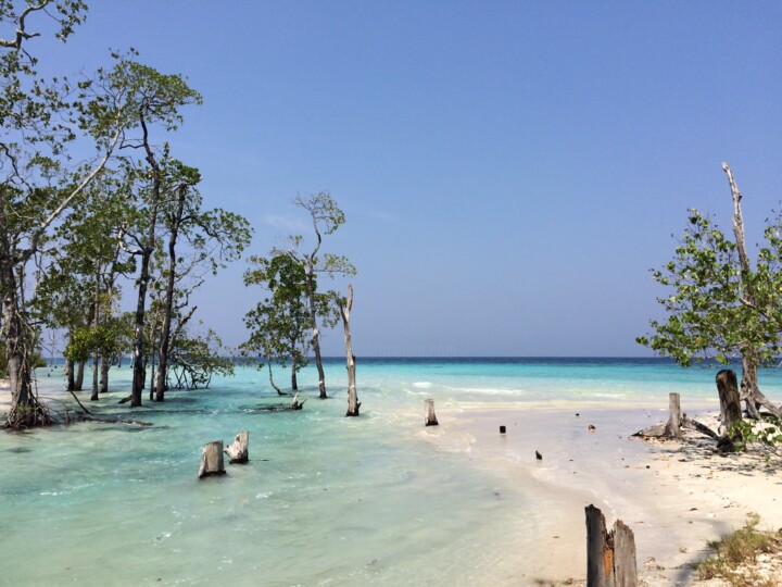 Fotografie getiteld "Затерянный мир 2" door Uliana Khalanskaia, Origineel Kunstwerk, Digitale fotografie