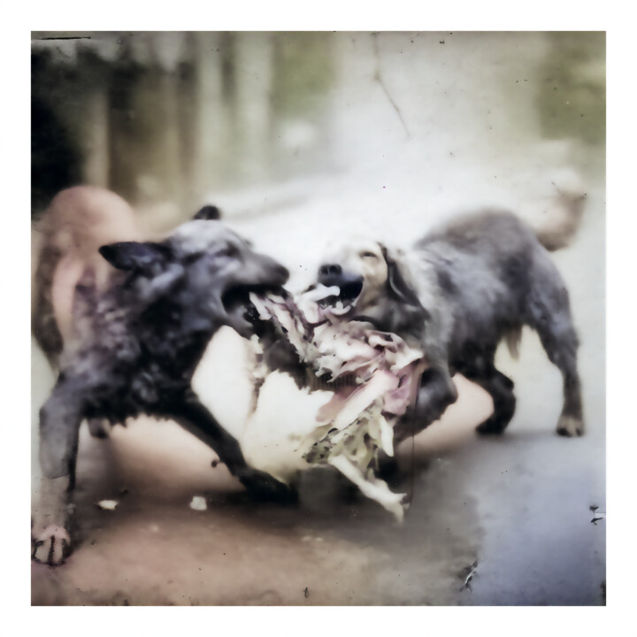 제목이 "STRAY DOGS"인 디지털 아트 Josep Domènech로, 원작, AI 생성 이미지 판지에 장착됨